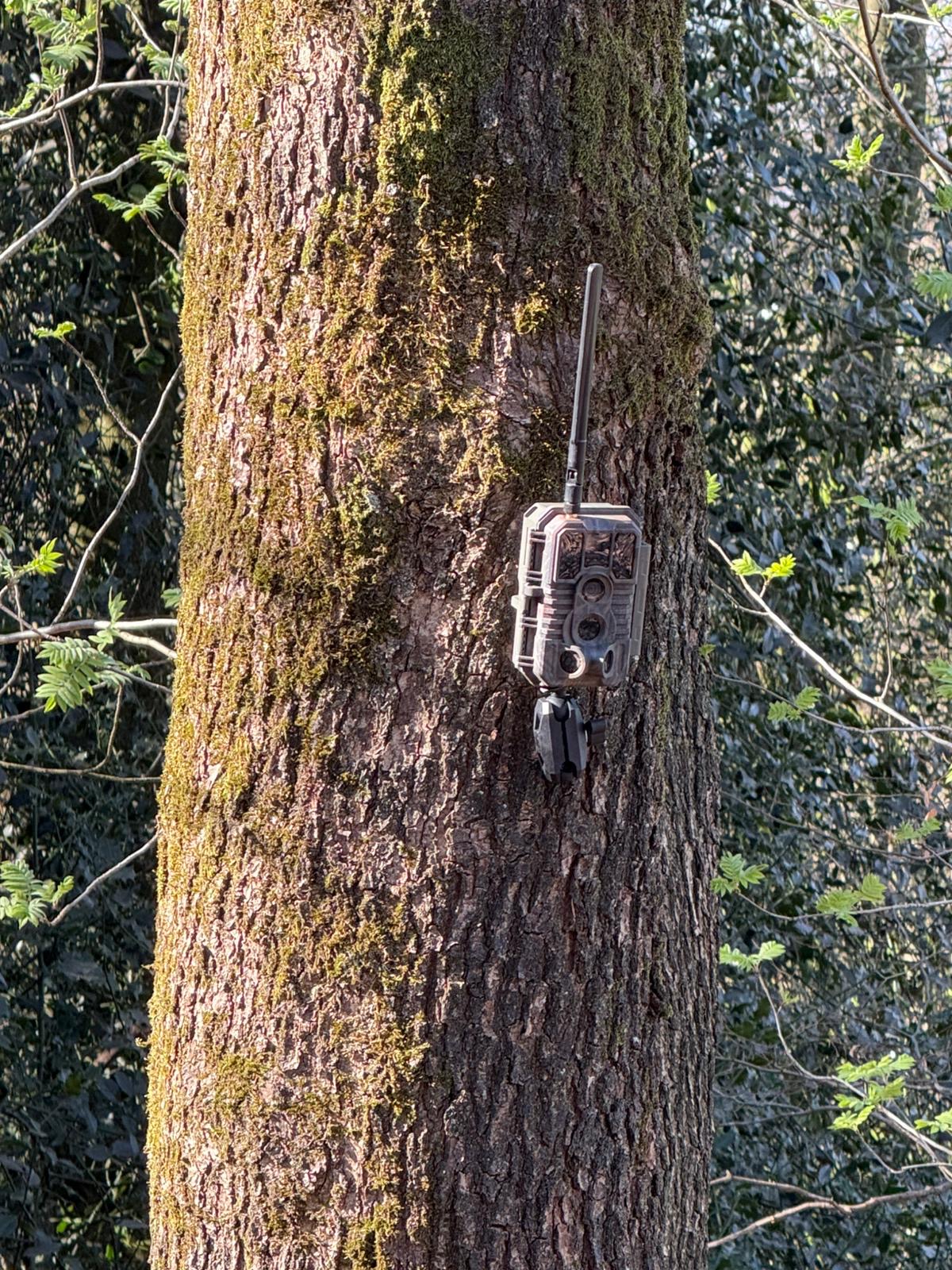 Jagdspezi Trail Cam x60 PLMB