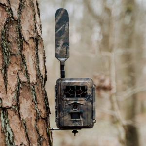 Besete wildkamera seissiger 02 1